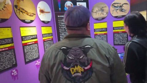 Thumb 0000000000 480x272 2451