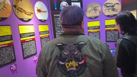 仲間家時代にサソリを飼っていたヘンディー