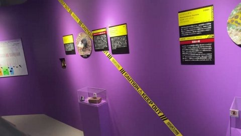 こいつ卵生じゃないだろw