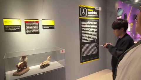 スカンクと張り合うヘンディー