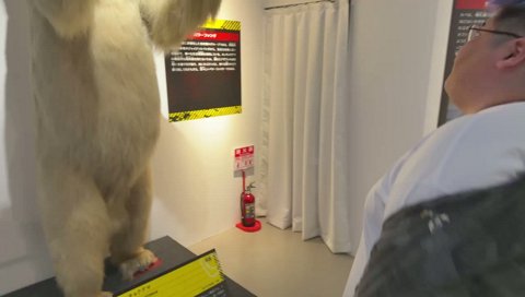 ホッキョクグマとヒョウアザラシ