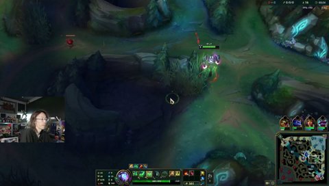 カスタムの温度感