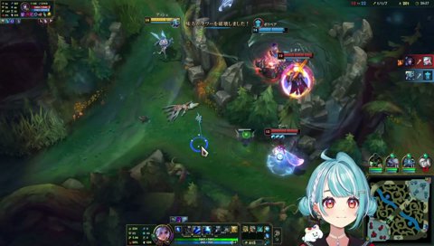 ザ・ステップ委員会提出資料