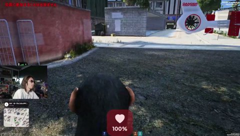 猫で大興奮じーにあす