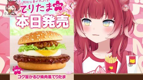 Thumb 0000000000 480x272 2642