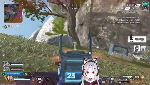 虚空から出てきたレイスを仕留める