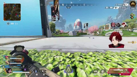 初めての豚笑楽APEX