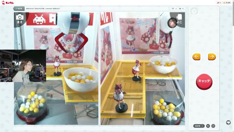 楽しくなってきた