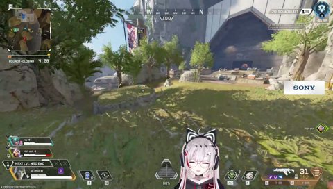 こはーく(パイモン)