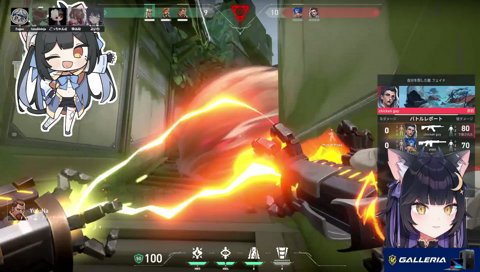 スキルは避けないたぬき