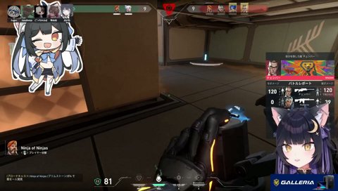 ネオンに破壊されるたぬき