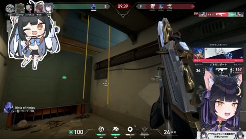 ビクつくつきたぬき