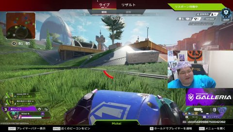 むかいさん必死の逃走劇