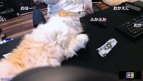 くろむ＞＞＞＞＞けんちゃん