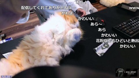 Thumb 0000000000 480x272 3278