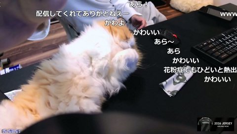 今日のくろむちゃんねる