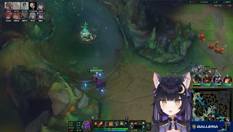 ピンクワード破壊に命を懸けるまいたけ