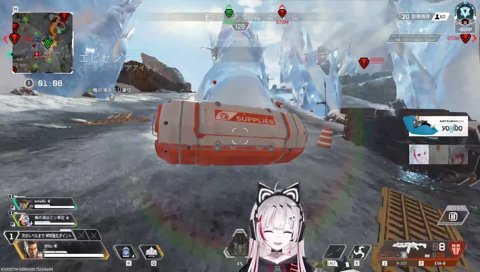 ゲームのやりすぎでおかしくなったかもしれない