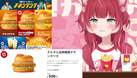 【メンマ ≠ ザーサイ】　「ザーサイってメンマなの？」　メンマじゃないの？ザーサイって　アレ何？　　メンマで作ったザーサイみたいなやつ有るよね？