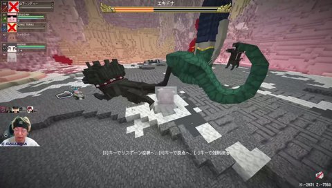 エキドナ戦最大のピンチ DoZ DAY6