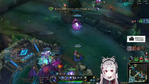 ぴんちゃんの神ウルト②