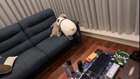 Thumb 0000000000 480x272 3799