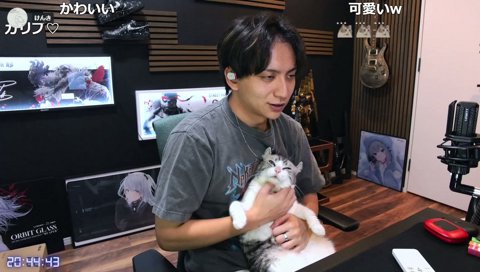 今日のかりぶちゃんねる