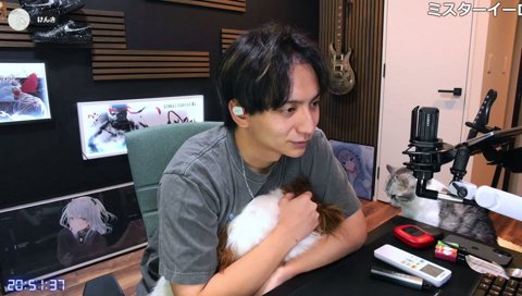 こたvsかりぶ