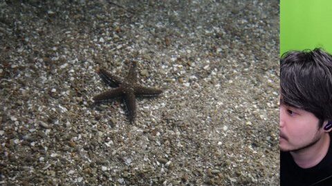 Thumb 0000000000 480x272 3949