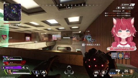 こんな時間にフルパapexすこし カスタムはいっていいよみんな