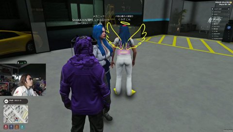 嘘の重ね掛け　※ボブキャットの犯罪内容