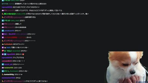Thumb 0000000000 480x272 1632