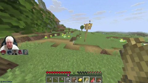 nethが4んだ時の状況を説明するヘンディー CPTおかえりマイクラハードコア