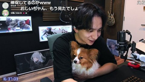 このみスチーム鑑賞会