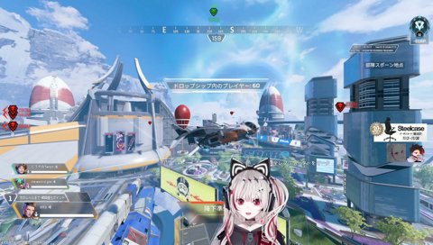 dtto sending tweet and falls to her death