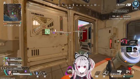 あるぴ(犬)