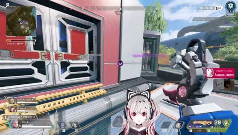 卵仲間