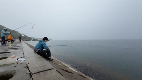 女子供のように釣れる魚