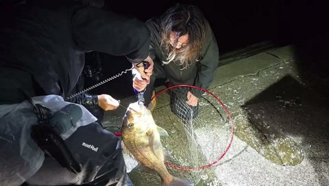 とんでもない大きさの魚を釣った釈迦