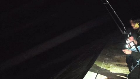 竿立てて、立って
