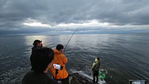 まざー、遂にイナダを釣る！！