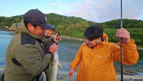 ヒラマサ4kg