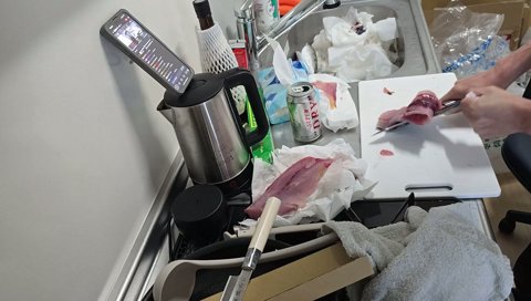 皮引きにて正体を現す釈迦