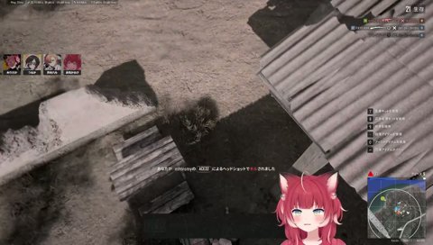感動のペンキン上陸シーン