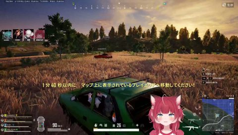 車内暴力