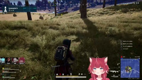 お肉チームのドン勝！