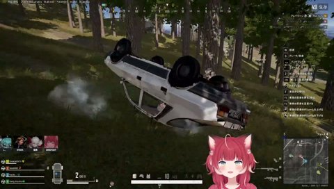 ゆうがにキルされるかるび