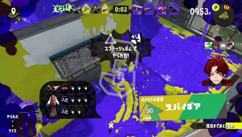 ナワバリが・・・
