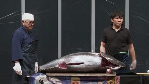 ノリアキ、マグロ入刀のポーズ
