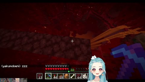 vs ホグリン２体目